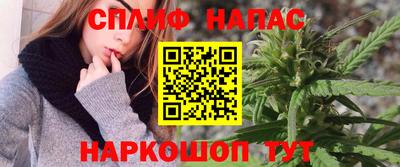 СК Балахна